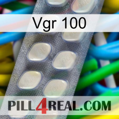 Vgr 100 08